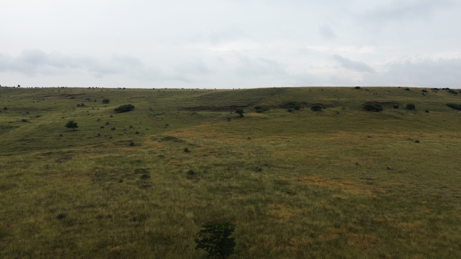 Commercial Property for Sale in Villiers Free State